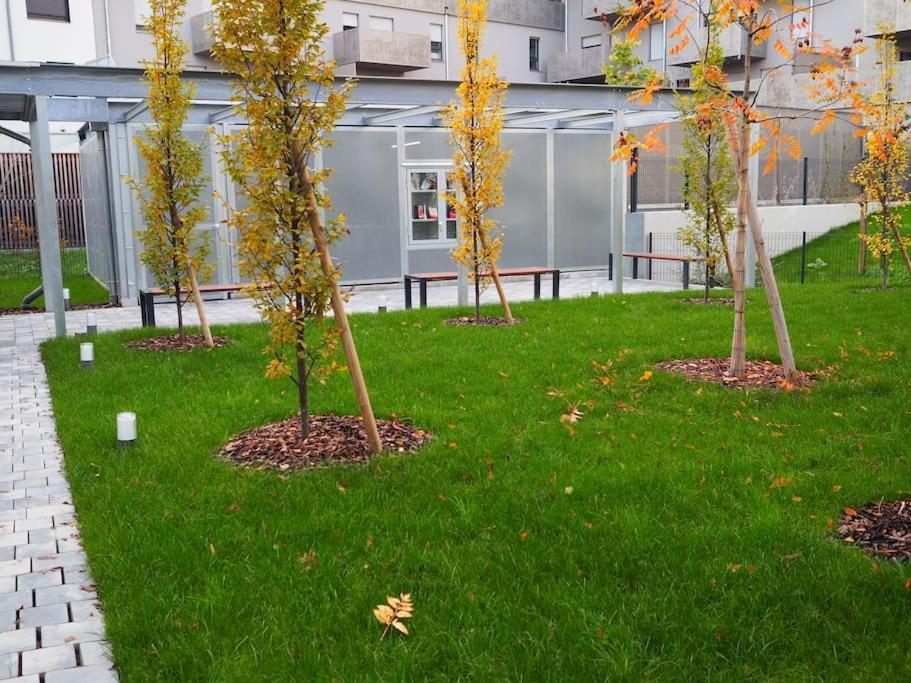 Cityheart Constellation Avec Parking Strasbourg Eksteriør billede